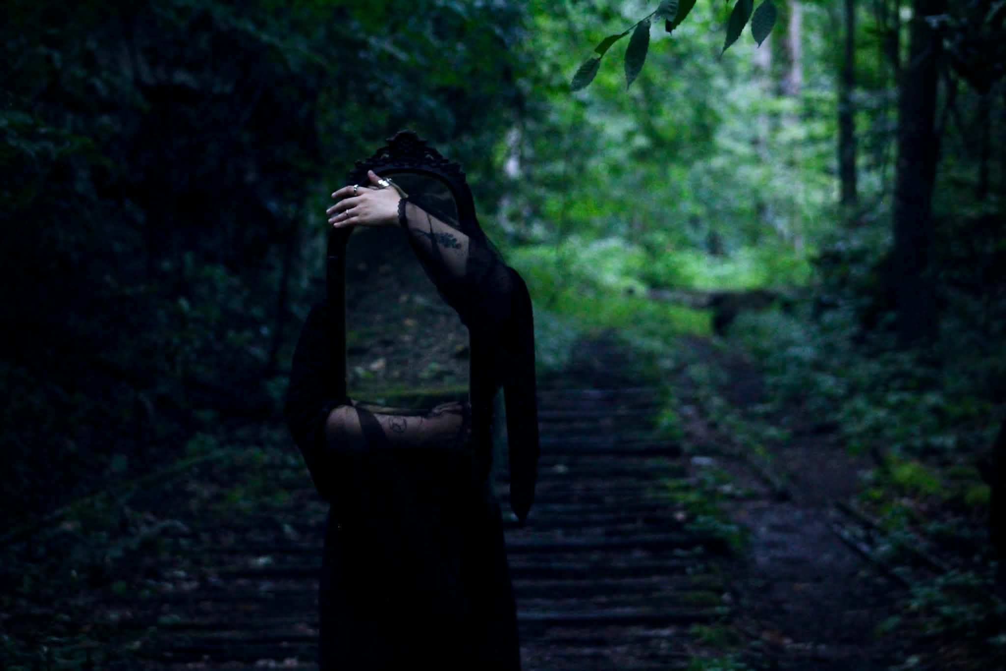 A reflection in the forest